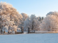 Winter at Garbally
