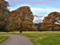 garbally park